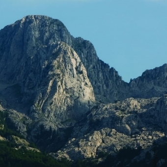 Photo12