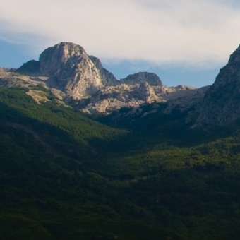 Photo5