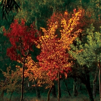 Photo14